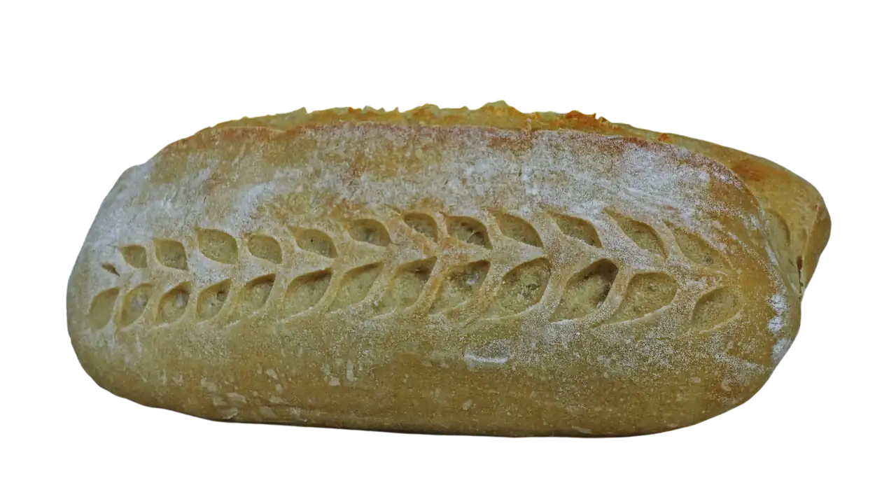 Plain Sourdough No Background.opti